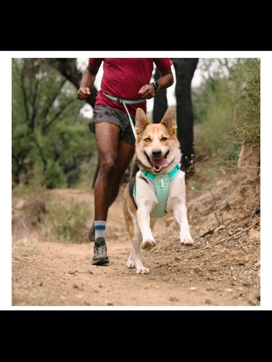 NWT RuffWear Hi & Light Dog Harness - Picture 5 of 5